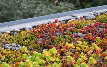the cost of Upper Holloway green roof installation