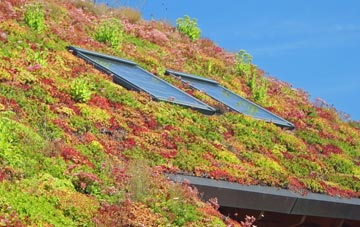 Upper Holloway living roof systems