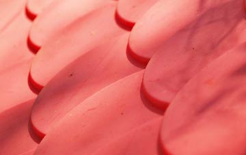 Upper Holloway plastic roof costs