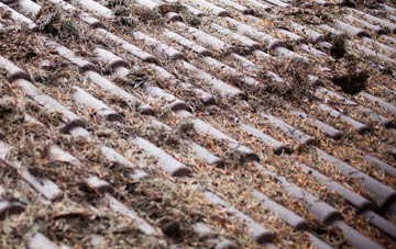 Upper Holloway roof cleaning companies