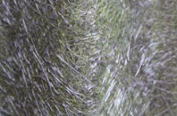 Upper Holloway fibreglass roof work